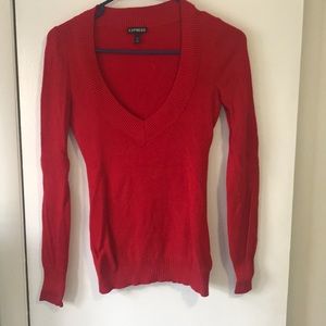 Express V-Neck Sweater